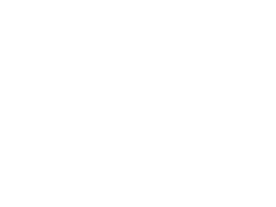 Nevion